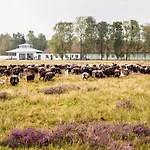 Hotelcamp Reinsehlen 4* Schneverdingen