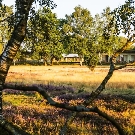 Hotel Hotelcamp Reinsehlen