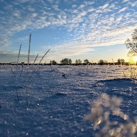 Hotelcamp Reinsehlen Hotel