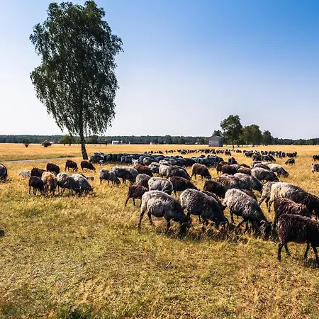 Hotelcamp Reinsehlen Hotel 4*