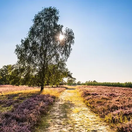 Hotelcamp Reinsehlen Hotel Schneverdingen