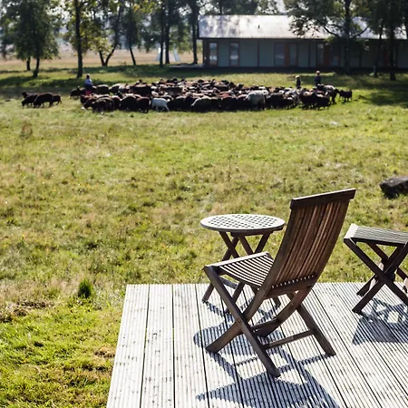 Hotel Hotelcamp Reinsehlen 4*