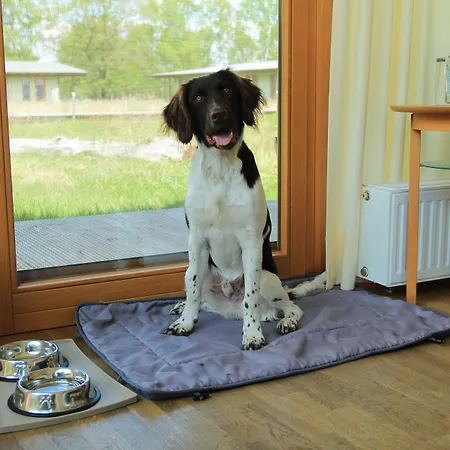 Hotel Hotelcamp Reinsehlen Schneverdingen