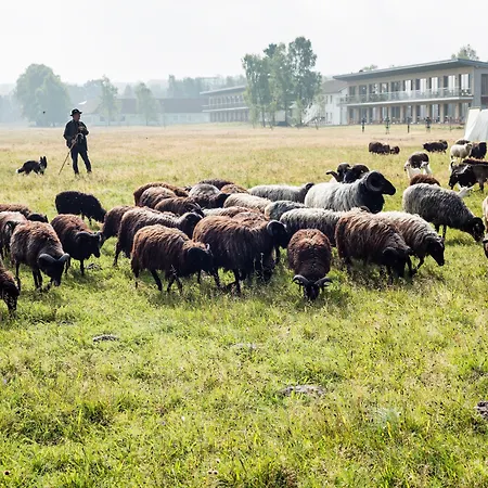 Hotel Hotelcamp Reinsehlen Schneverdingen
