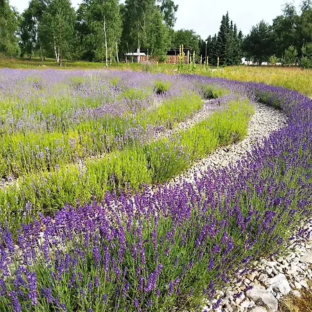 Hotel Hotelcamp Reinsehlen