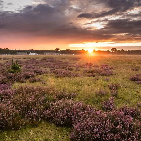 Hotel Hotelcamp Reinsehlen