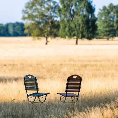 Hotel Hotelcamp Reinsehlen 4*