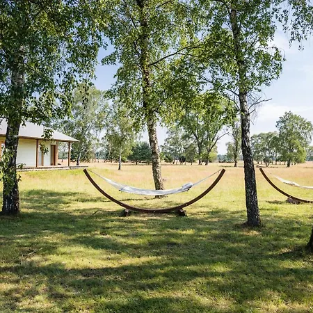 מלון Hotelcamp Reinsehlen 4*