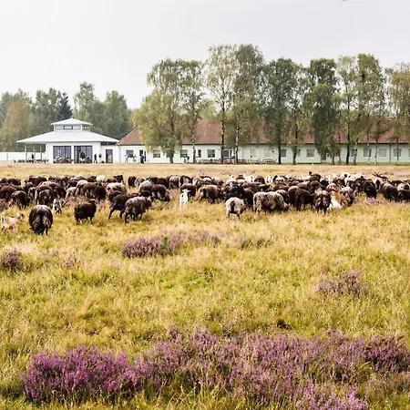 Hotelcamp Reinsehlen 4* Schneverdingen